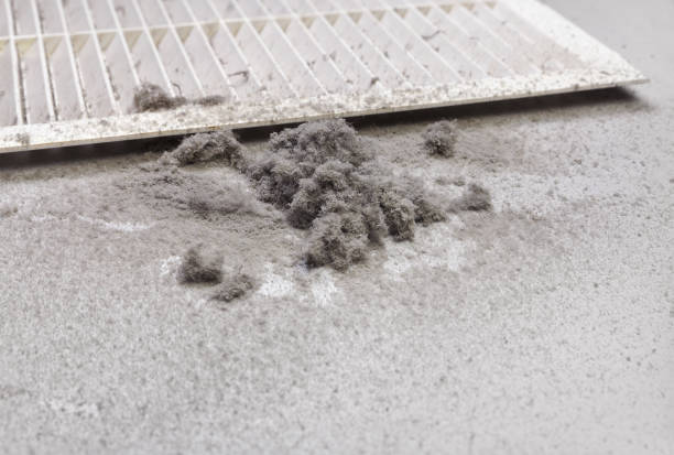 Best Air Vent Cleaning Services  in Lockport, IL